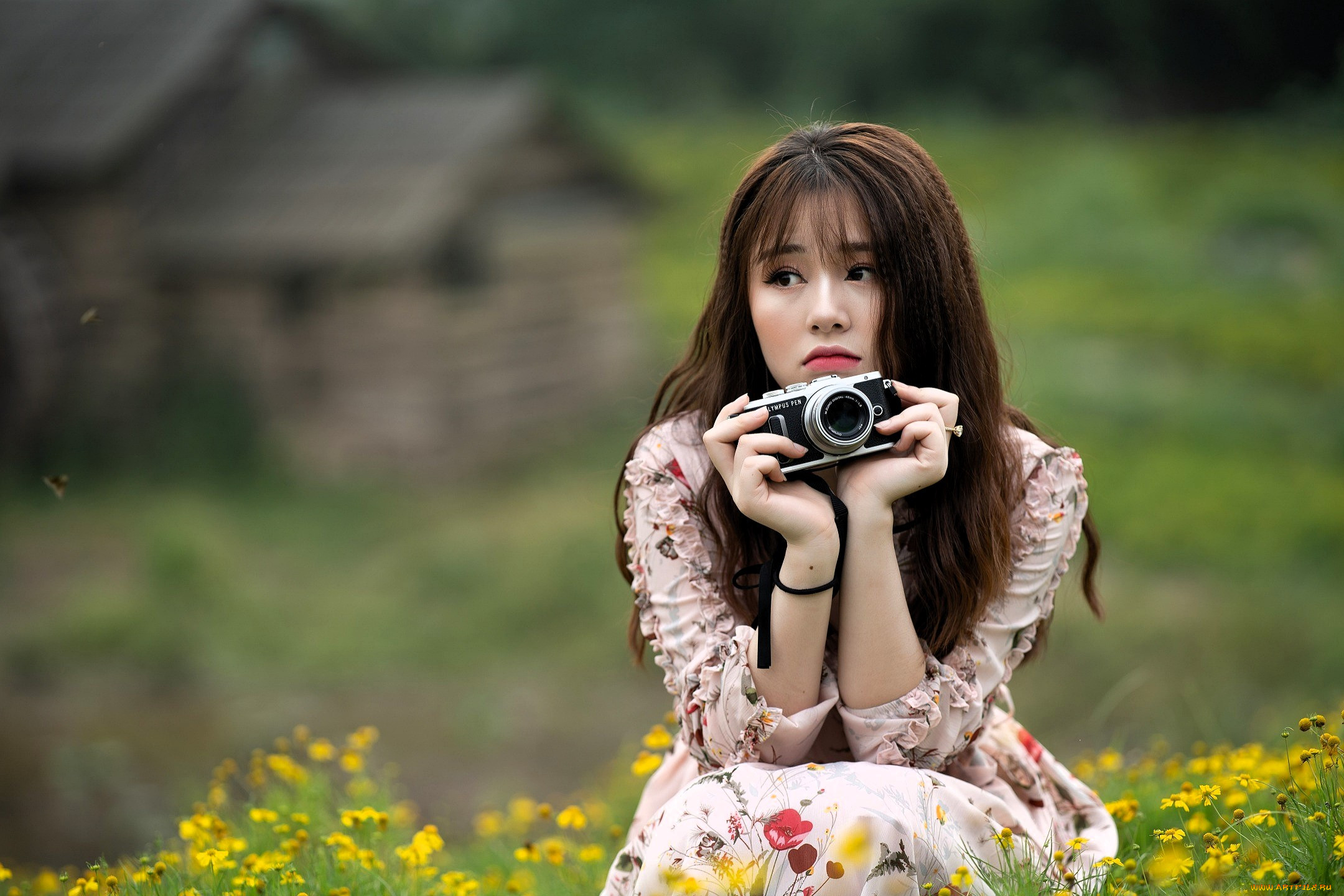 �������, - �������, �������, �����������, ������, ����, �����